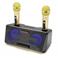 Φορητό ηχοσύστημα Bluetooth USB/SD karaoke 20watt με 2 μικρόφωνα Mp3 Player SDRD SD-301 σε μαύρο χρώμα